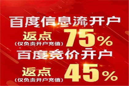 百度推广的广告投放策略案例